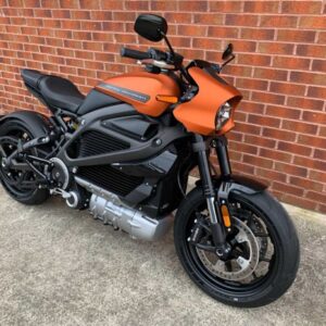 2020 Harley-Davidson Elw Livewire 20
